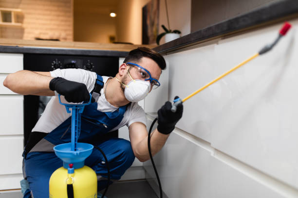Rolling Hills Estates, CA Pest Control Company