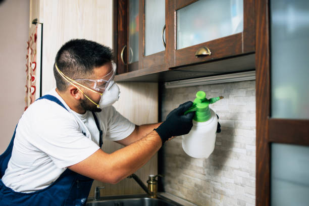 Best Cockroach Control Services  in Rolling Hills Estates, CA