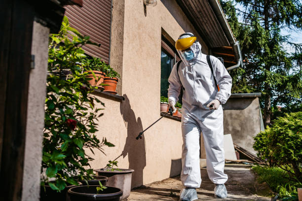 Best Termite Control Services  in Rolling Hills Estates, CA