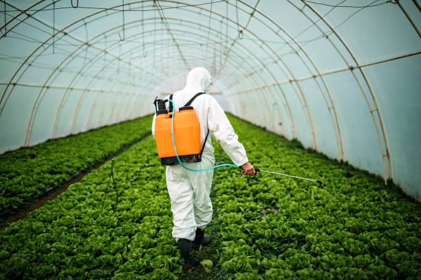 Best Residential Pest Control  in Rolling Hills Estates, CA
