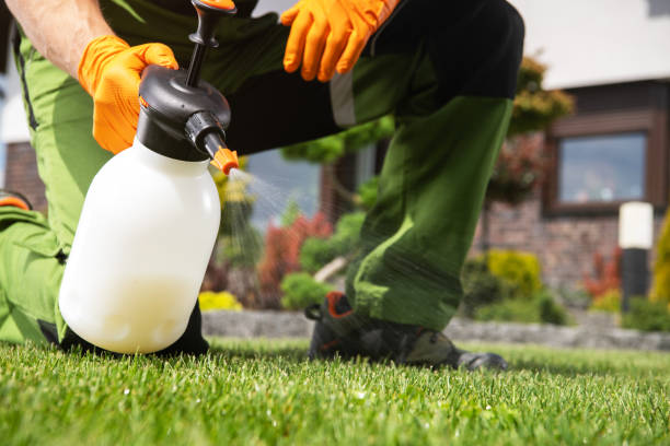 Best Commercial Pest Control Services  in Rolling Hills Estates, CA