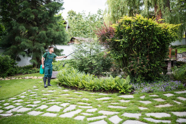 Best Affordable Pest Control Services  in Rolling Hills Estates, CA