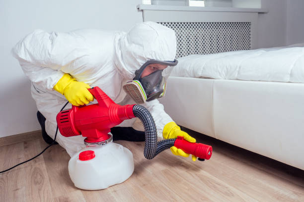 Best Ant Control Services  in Rolling Hills Estates, CA