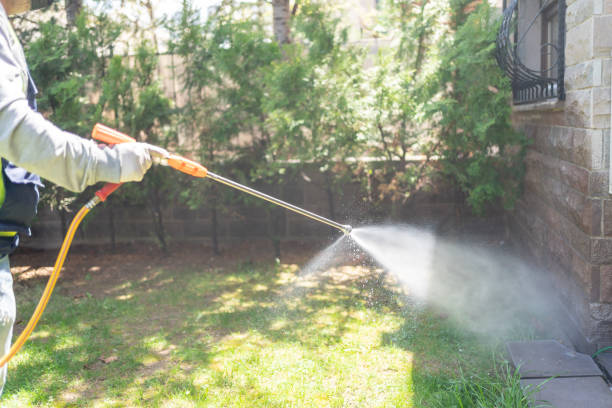 Best Best Pest Control Companies  in Rolling Hills Estates, CA
