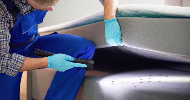 Best Best Pest Control Companies  in Rolling Hills Estates, CA