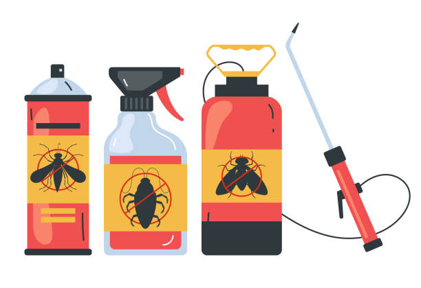 Best Spider Control Near Me  in Rolling Hills Estates, CA