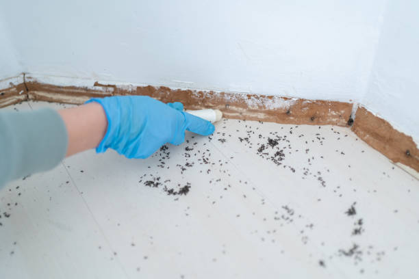 Best Emergency Pest Control  in Rolling Hills Estates, CA